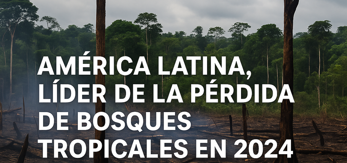 Patiyala, Alerta Roja en América Latina, por aumento en la deforestación de Bosques